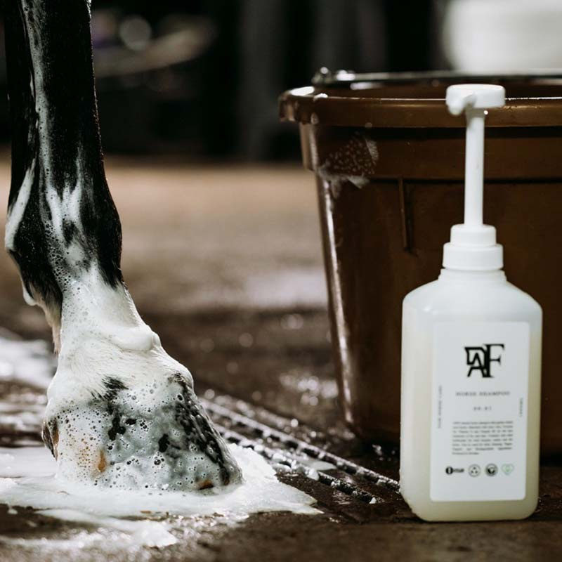 Sjampo Everyday Original 00.01