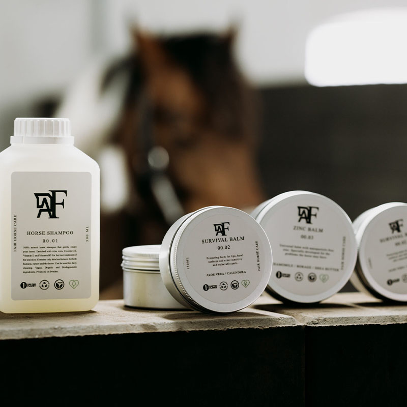 Sjampo Everyday Original 00.01