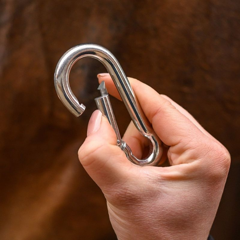 Karabinkrok Carabiner Sølv