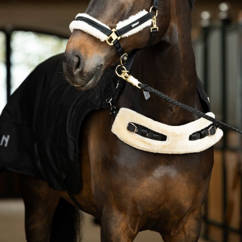 Skrittemaskindekken Delta II Walker Svart