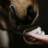 Hestesalve Survivial Balm 00.02 Hestesalve Survivial Balm 00.02