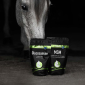 Glukosamin Glukosamin