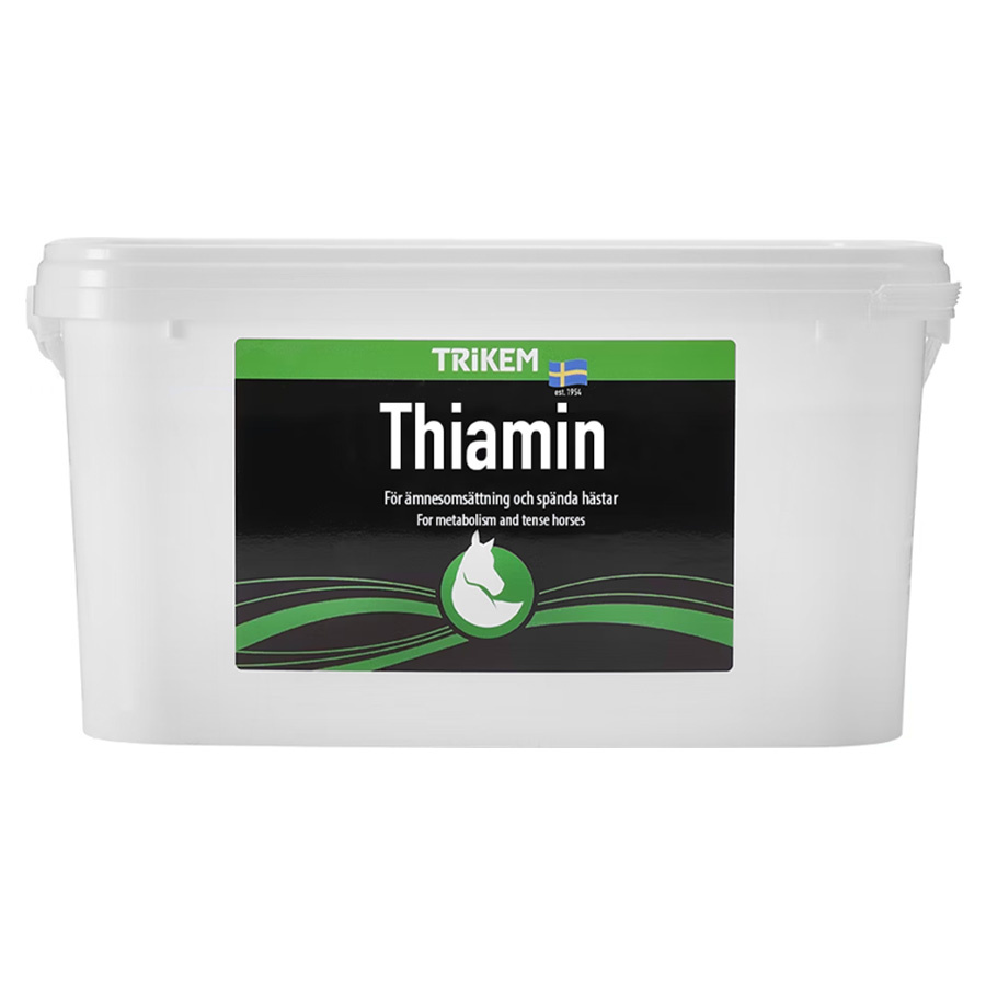Thiamin 4000g