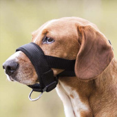 Snutegrime med polstring Svart Snutegrime med polstring Svart