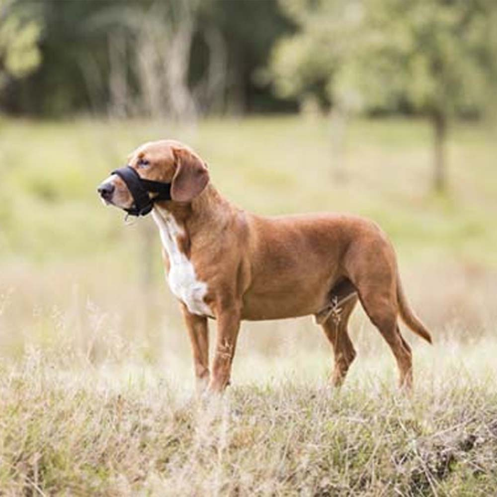 Snutegrime med polstring Svart