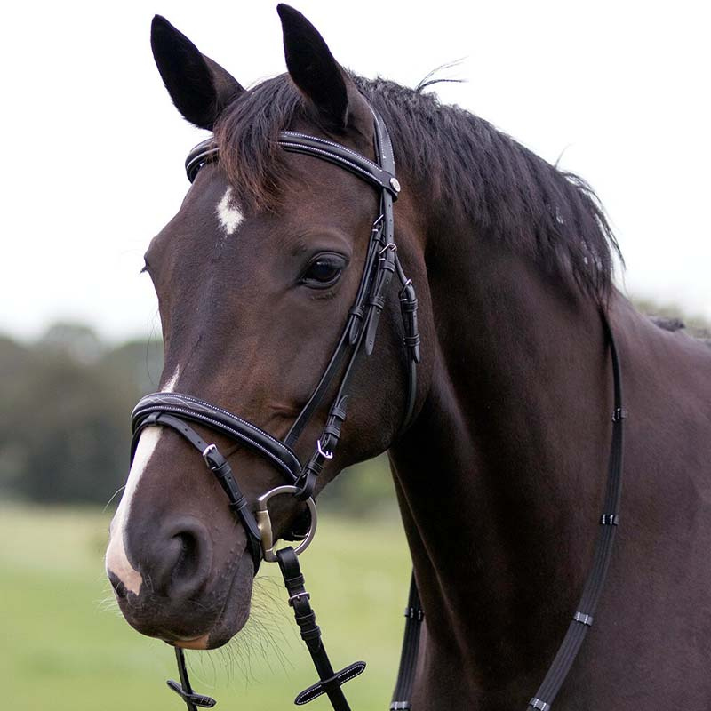 Anatomisk hodelag Luxury Stitched Svart