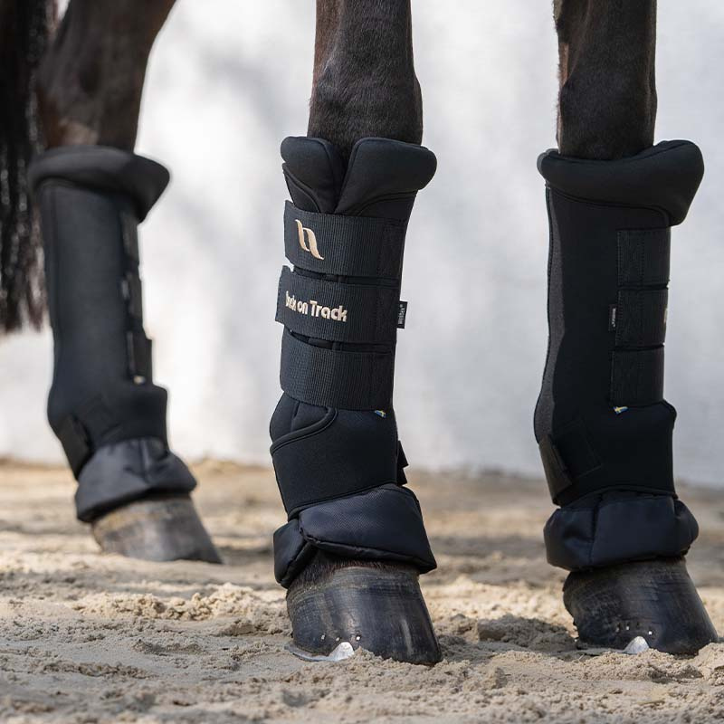 Stallbandasjer Royal Quick Wraps Deluxe Svart/Svart