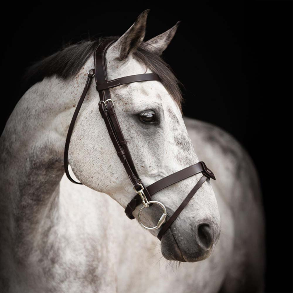 Hodelag Trainer Basic Mørkebrun