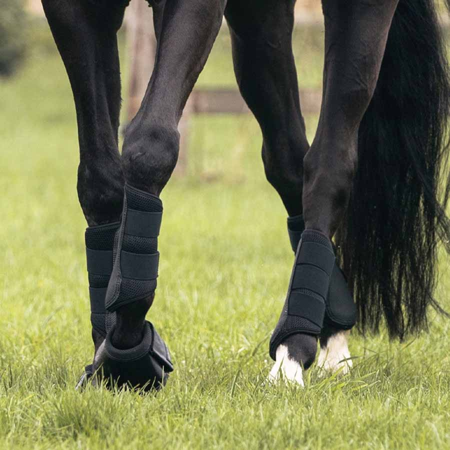 Treningsbeskyttere Opal Bak Svart