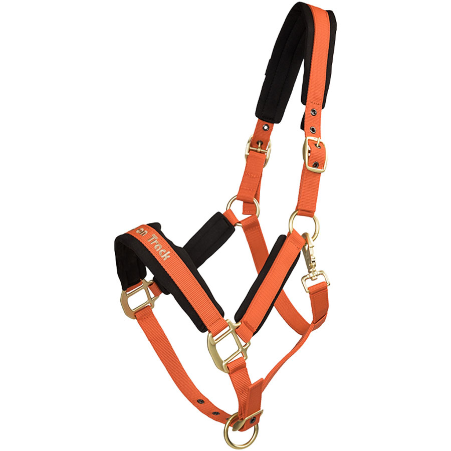 Grime Werano Oransje