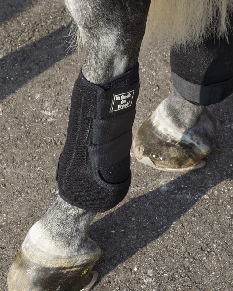 Treningsbeskyttere Royal