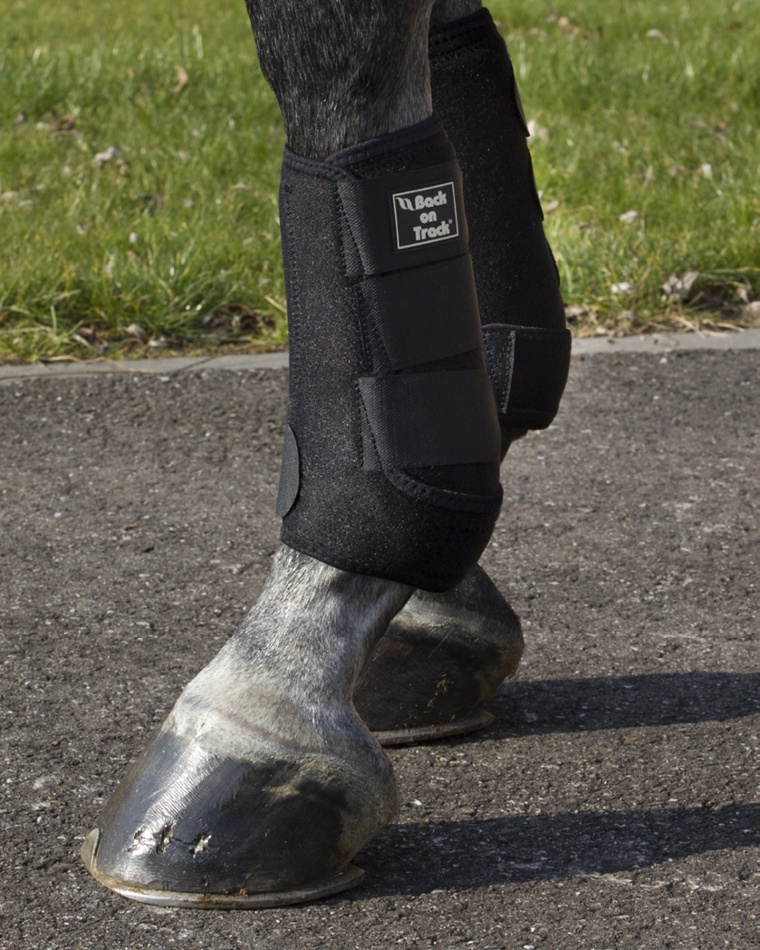 Treningsbeskyttere Royal