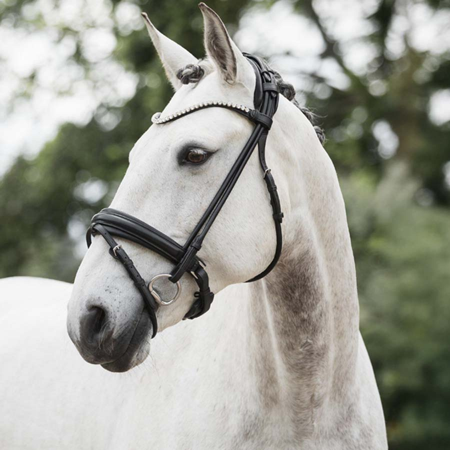 Dressurhodelag Caselle Supreme Svart