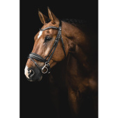 Dressurhodelag Integro Brun Dressurhodelag Integro Brun
