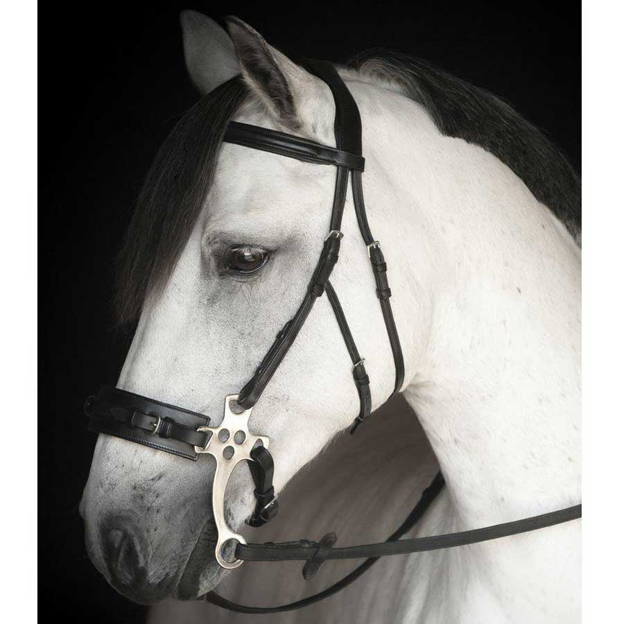 Hackamorehodelag Chester Supreme Svart