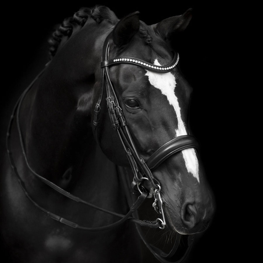 Kandarhodelag Delicato Supreme Svart