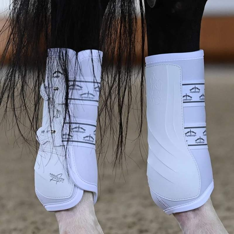 Dressurbeskyttere Absolute Rear Elastic Hvit