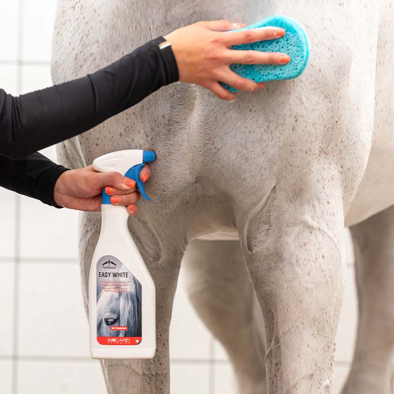 Tørrsjampo Easy White 500ml