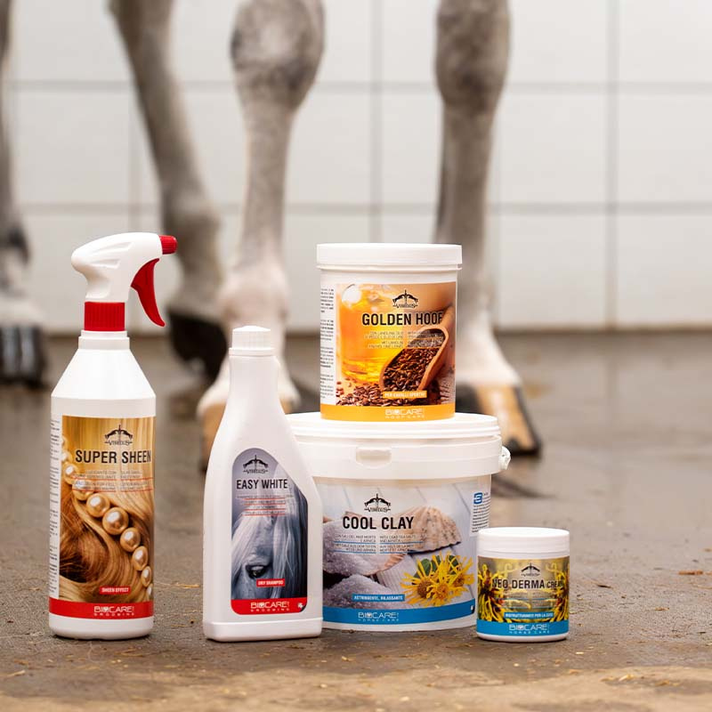 Cool Clay 2.5kg