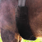 Gjordtrekk Lambskin Svart Gjordtrekk Lambskin Svart