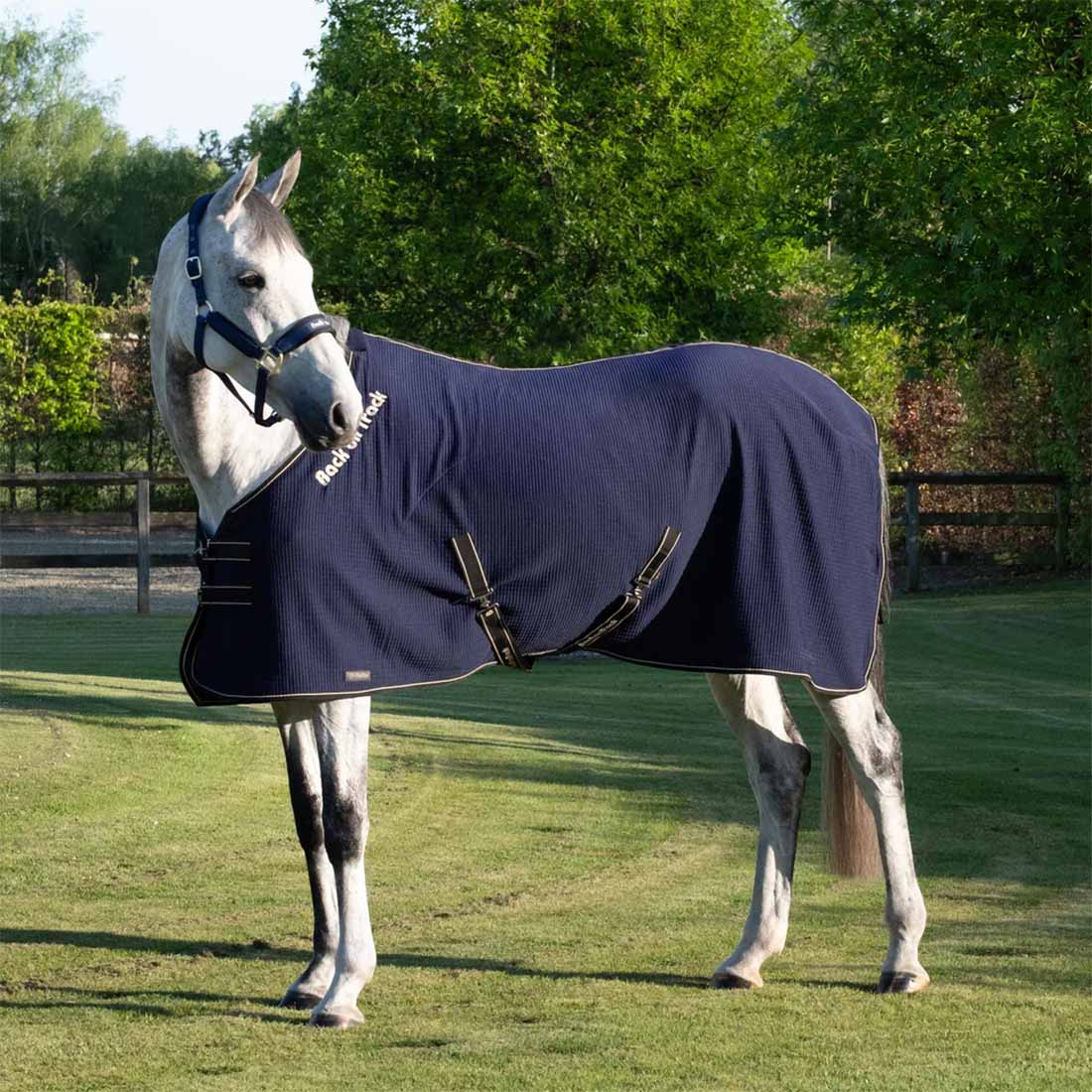 Svettedekken Quick Cooler Blå