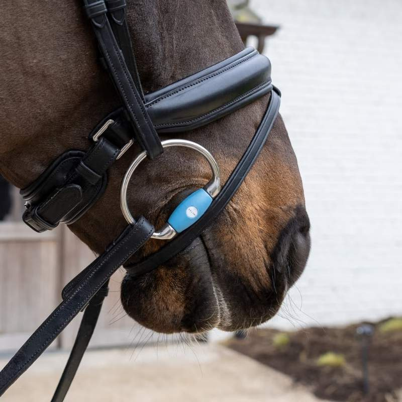 Muffebitt Flex Medium 20mm