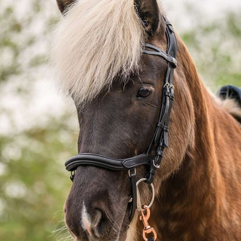 Islandshodelag Anatomic Svart