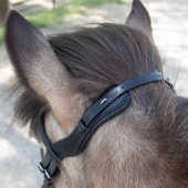 Islandshodelag Anatomic Svart Islandshodelag Anatomic Svart