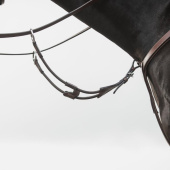 Kort martingal Elastic Eccelente Brun Kort martingal Elastic Eccelente Brun