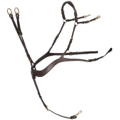 Anatomiskt fortøy med martingal Chocolate/Gull Anatomiskt fortøy med martingal Chocolate/Gull