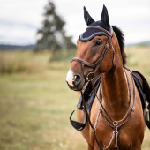Fortøy med martingal Fazzino Brun Fortøy med martingal Fazzino Brun