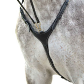 Fortøy med martingal Fazzino Svart Fortøy med martingal Fazzino Svart