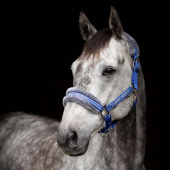 Grime med pels Royalblå/Grå Grime med pels Royalblå/Grå