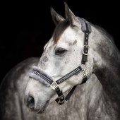 Grime med pels Svart/Grå Grime med pels Svart/Grå