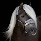 Grime med pels Svart/Grå Grime med pels Svart/Grå