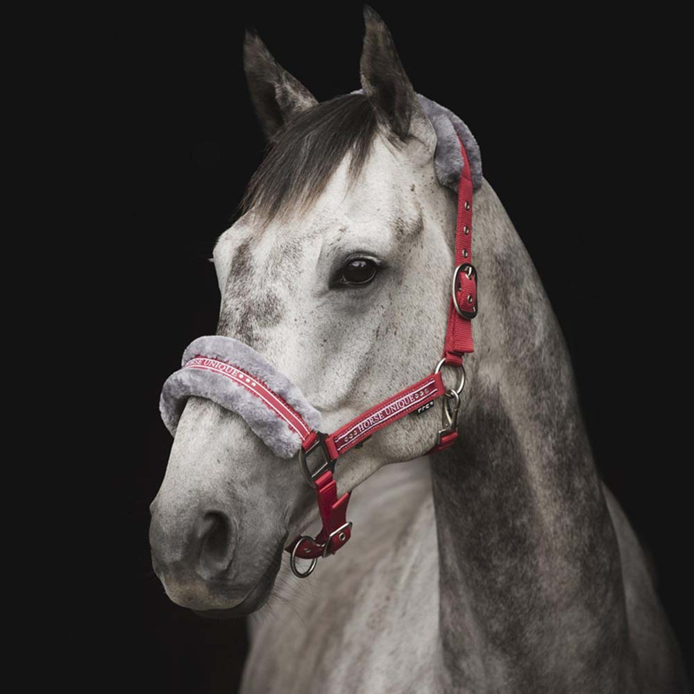 Grime med Fleece Rød/Grå