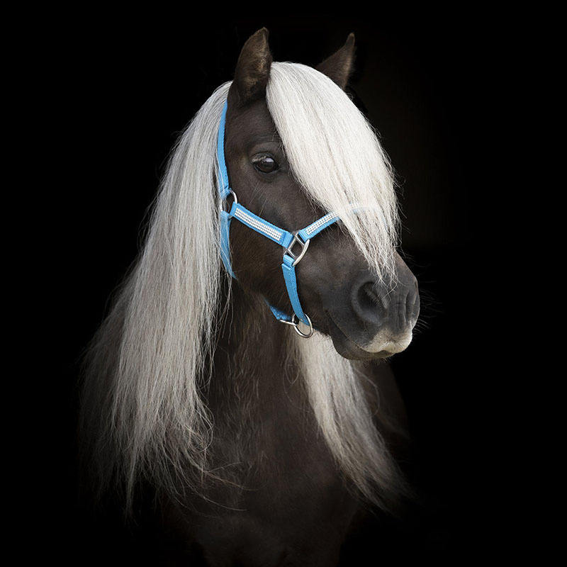 Grime Mini Strass Blå