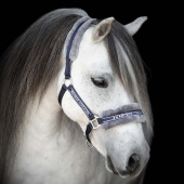 Grime med Fleece Marineblå/Grå Grime med Fleece Marineblå/Grå