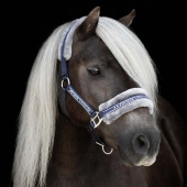 Grime med Fleece Marineblå/Grå Grime med Fleece Marineblå/Grå