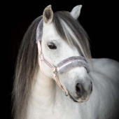 Grime med Fleece Lys rosa/Grå Grime med Fleece Lys rosa/Grå