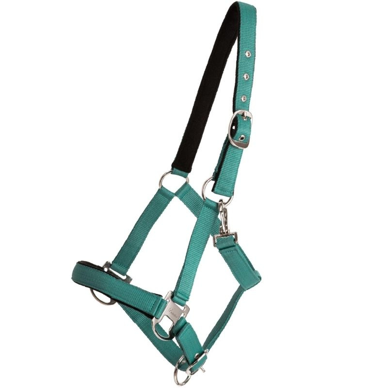 Grime Double Buckle Turkis