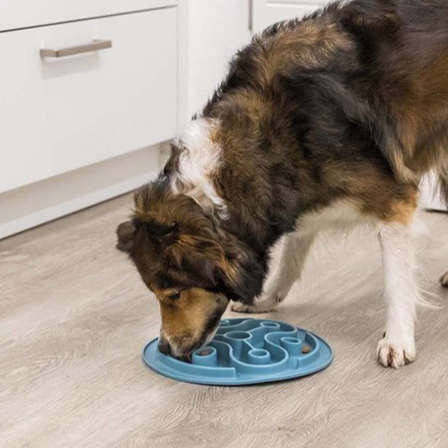 Slow Feed ForingmatteTurkos