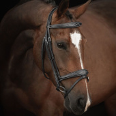 Hodelag Supreme Fancy Svart Hodelag Supreme Fancy Svart