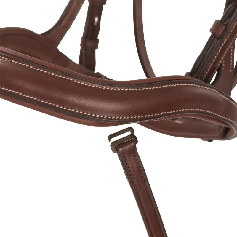 Anatomisk hodelag Eccelente Brun