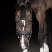 Dressurhodelag Quinsy Supreme Svart Dressurhodelag Quinsy Supreme Svart