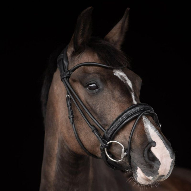 Dressurhodelag Quinsy Supreme Svart