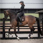 Dressurhodelag Quinsy Supreme Svart Dressurhodelag Quinsy Supreme Svart