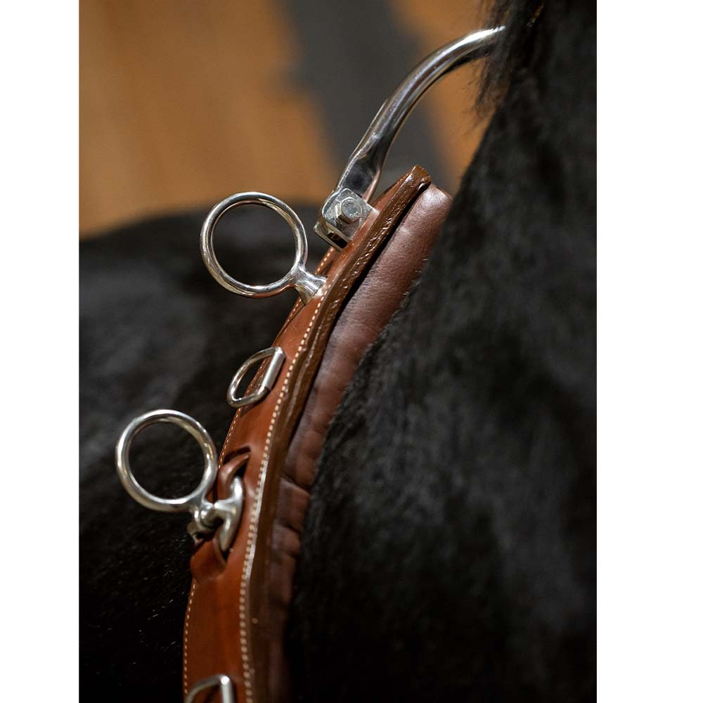 Tømmekjøringsgjord Brun