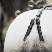 Longeringsgjord Shetland/Pony Svart Longeringsgjord Shetland/Pony Svart