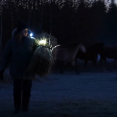 Lampe Light 01 ClipOn Svart Lampe Light 01 ClipOn Svart